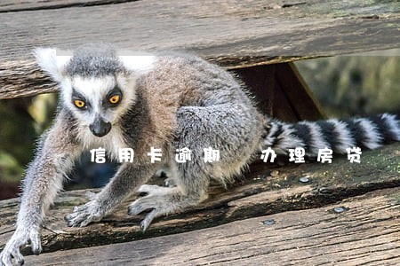 信用卡逾期 办理房贷 信用卡逾期 办理房贷